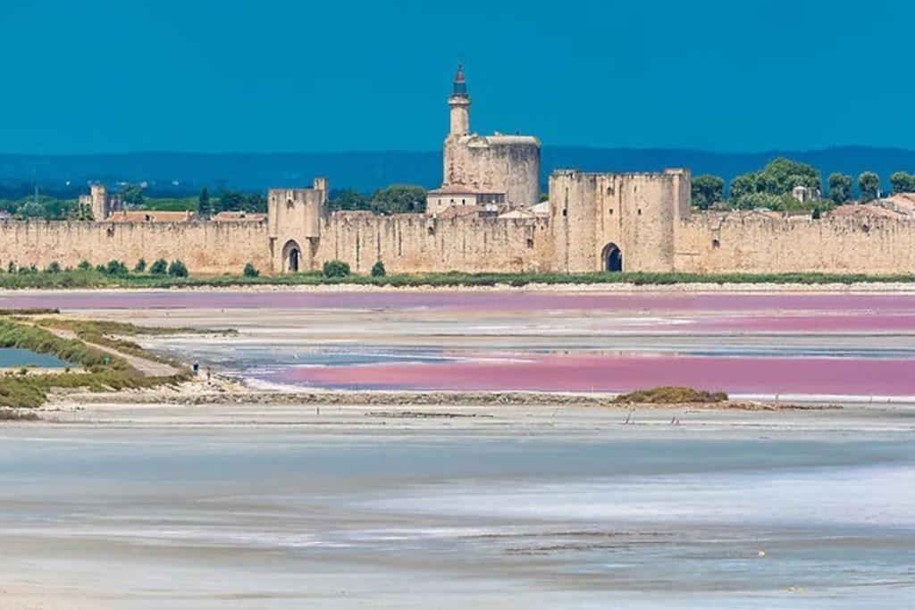 Maison A 800M Des Remparts Aigues-Mortes Esterno foto
